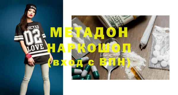 прущие грибы Новозыбков