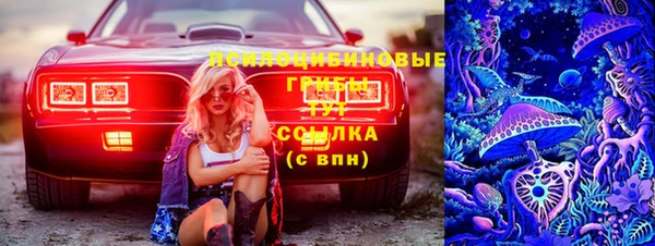 мдпв Гусиноозёрск
