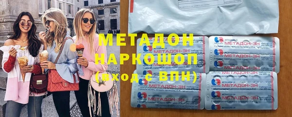 прущие грибы Новозыбков