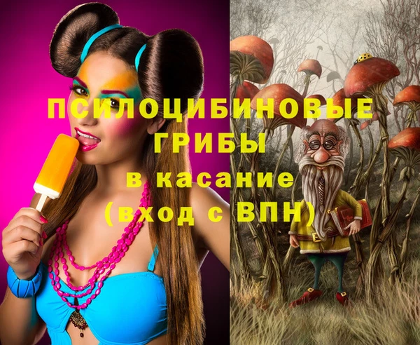 мяу мяу мука Шали