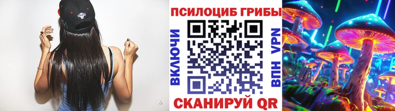 Галлюциногенные грибы Cubensis  где найти   Первомайск 